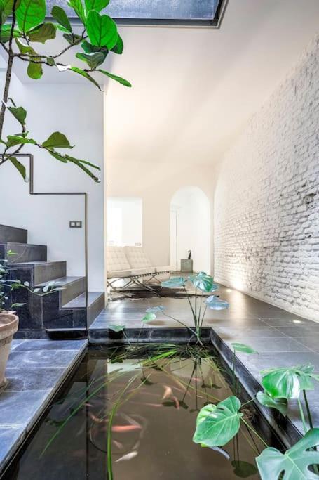 Exclusivo Apartamento De Diseno Centro Sevilla Matahacas Bajo Eksteriør billede