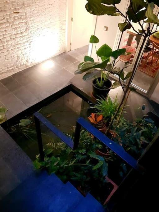 Exclusivo Apartamento De Diseno Centro Sevilla Matahacas Bajo Eksteriør billede